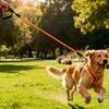 3m 5m 10m Long Dog LeashOutdoor Walking Training Pet Lead Leashes for Medium Large Dogs Nylon Long Tracking Round Rope Collar