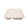 Einweg-4-Fach Biologisch abbaubarer Lebensmittelbehälter