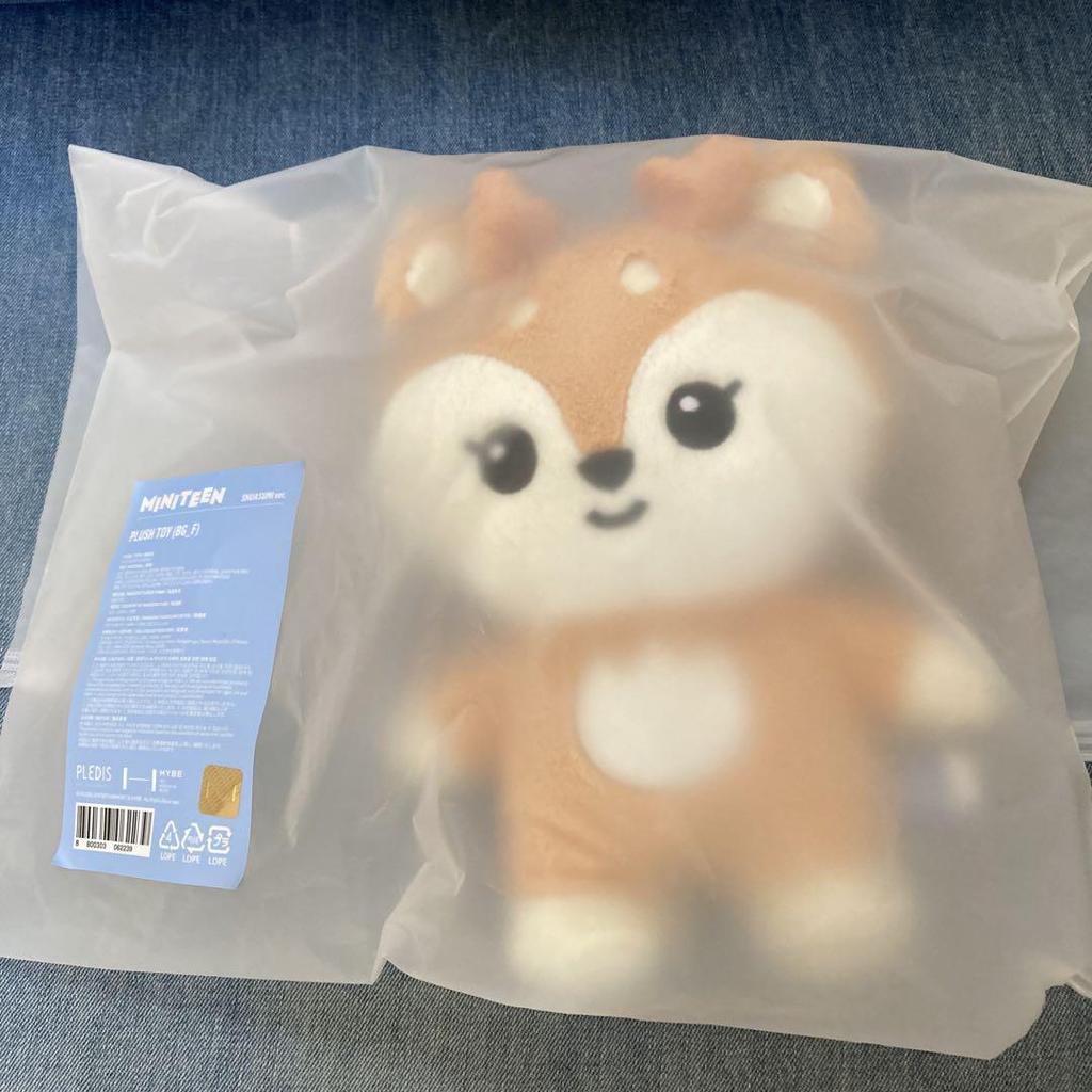 [USED] Joshua MINITEEN Pop-up Plush Toy Seventeen