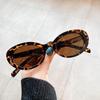 Leopard Print Cat-Eye Sunglasses for Women – Retro European & American Style