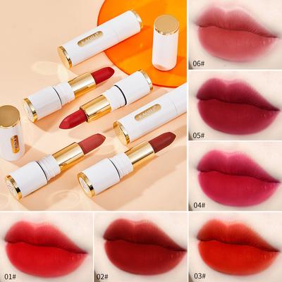 Silk Mist Velluto Tazza antiaderente Rossetto non sbiadito Rossetto opaco a lunga durata Rossetto piccolo tubo bianco impermeabile