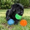 3Pcs Bite Tough Dog Chew Ball TPR Hollow Pet Teething Toy Pet Interactive Ball  Pet Interaction