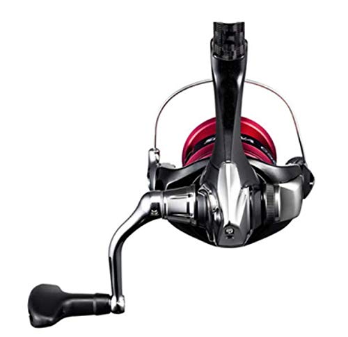 SHIMANO 19 Sienna C3000 Spinning Reel with 3-gauge, 150m Line, for Eging, Sea Bass, and Light Shore Saltwater Fishing