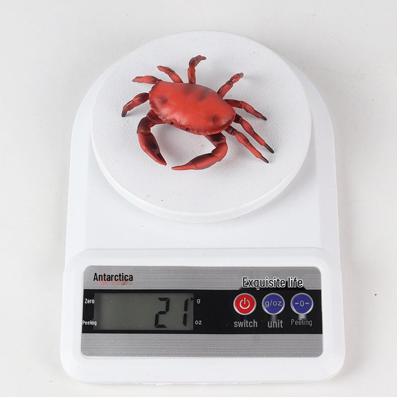 Kids' King Crab Cognitive Simulation Toy Model