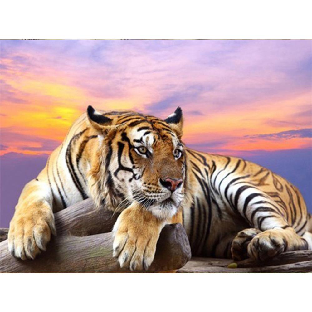 5d Diament Malarstwo Pełne Wiertło Kwadratowe Zdjęcia Zwierząt Dżetów Diament Haft Lew Mozaika Wystrój Domu
