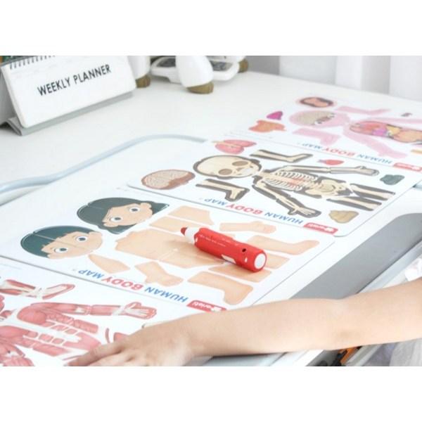 Mapa lidského těla Ver. 2 puzzle, 1, 85 dílků, Korea Best Batole Puzzle