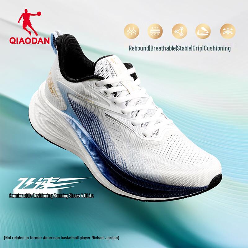 Jordan Feisu 4 Lite Running Shoes L