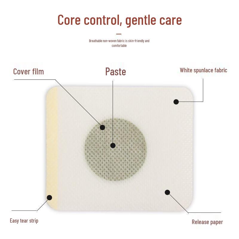 Xiangyitang Cornus & Cinnamon Herbal Soothing Foot Patches