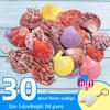 Handmade Decorative Seashells & Starfish for Fish Tanks: Landscaping, Painting, Specimens, Whelks, Hermit Crabs