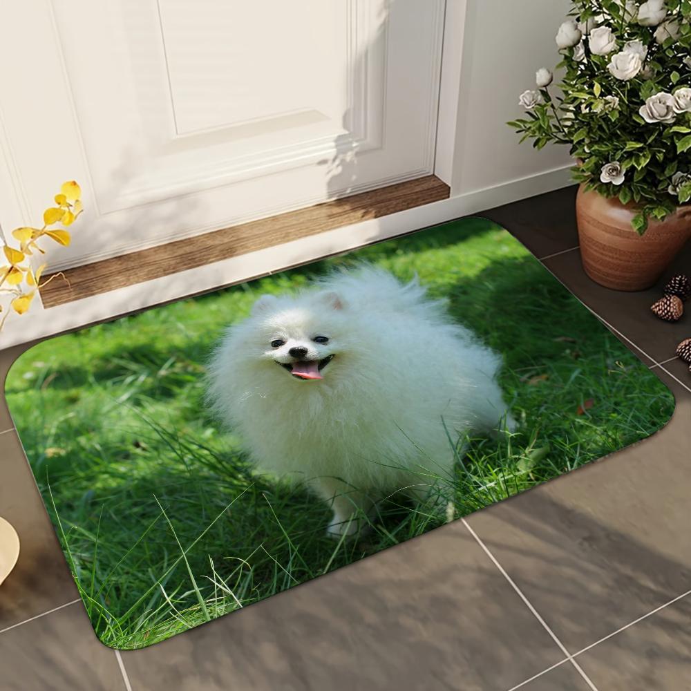 1pc Cute Pomeranian Dogs Bathroom Absorbent Mats Anti-Slip Mats Home Decor Supplies Carpets Home Kitchen Floor Mats