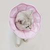 Protective Cat Anti-licking Circle Anti-Slip Kitten Neck Cone Pet Recovery Cone  for Wound Heal