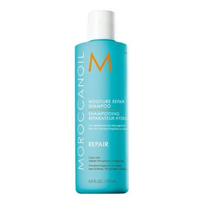 MOOI Treatment Repair Shampoo 250ml