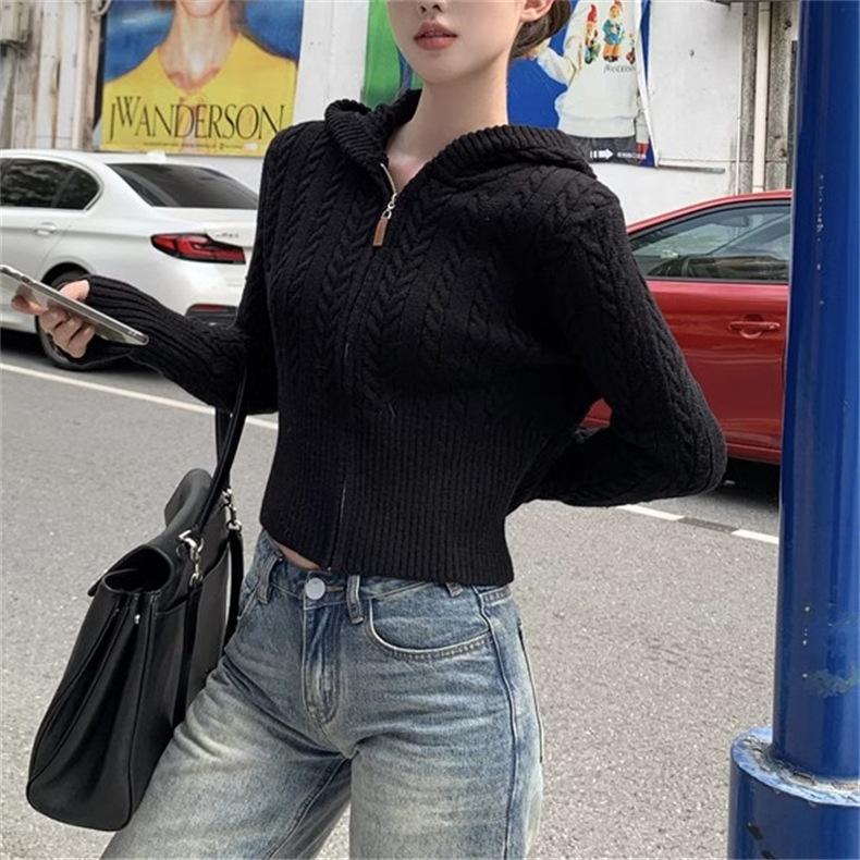 Short Twist Hooded Zipper Knitted Cardigan Women's Slim-fit Sweater Jacket