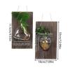 2pcs Wall Hanging Glass Vases with Wood Board Real Wood Decor for Hydroponic Plants
