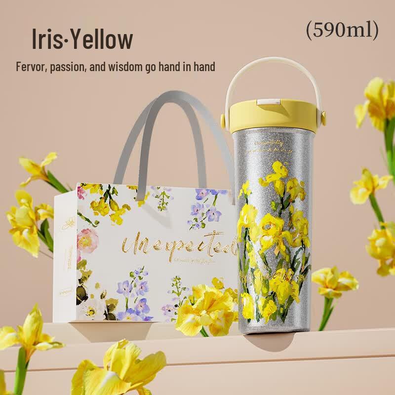 COOKER KING 550ml Iris Titanium Water Bottle