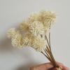 Wabi-Sabi Retro Floral Arrangement with Eucalyptus & Reed Grass for Home Decor & Photography