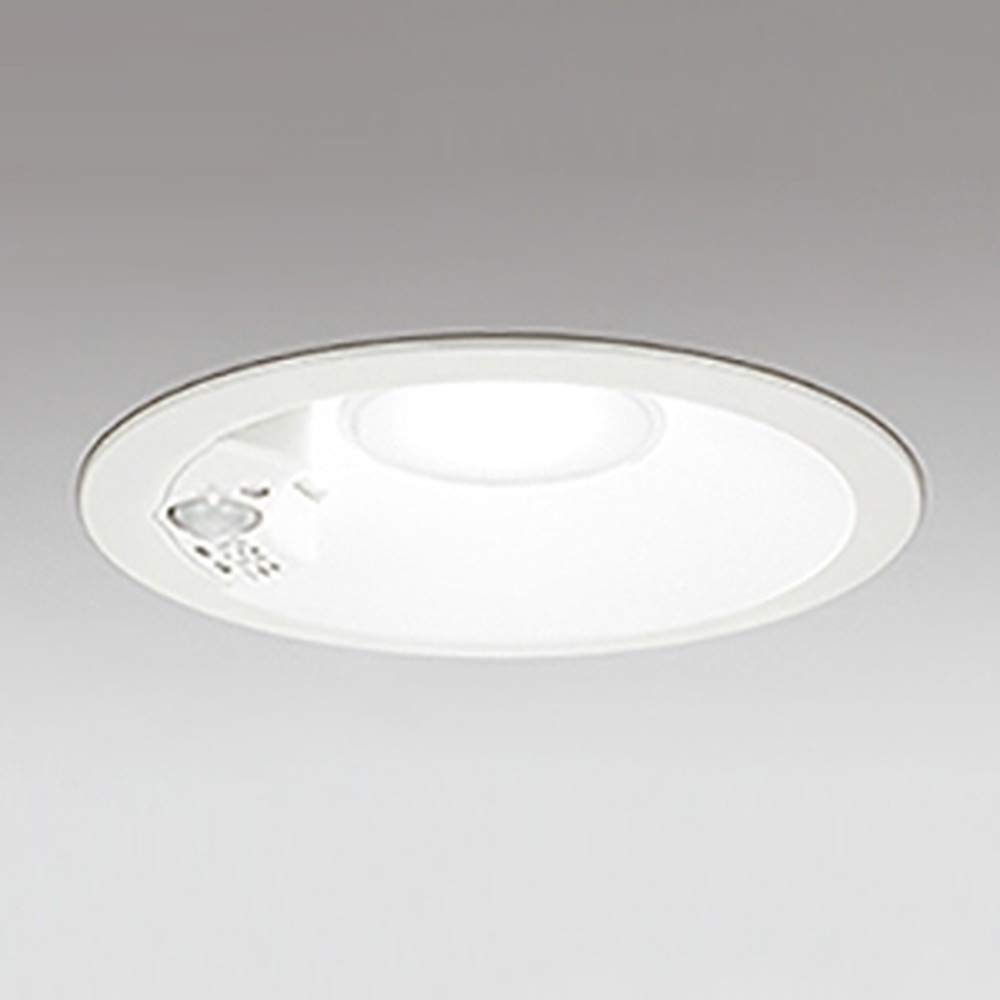 

ODELIC [OD361211] Exterior Lighting, Exterior Light, Downlight