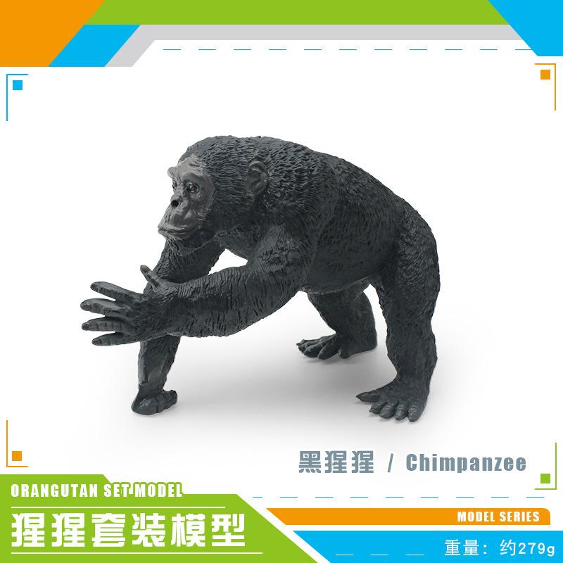 Supply Simulation Forest Animals 3 Types Of Orangutan Model White Orangutan Chimpanzee Solid Static Ornament Toys