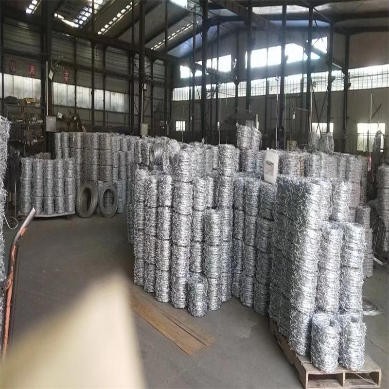 Double-Strand Plastic-Coated Galvanized Barbed Wire