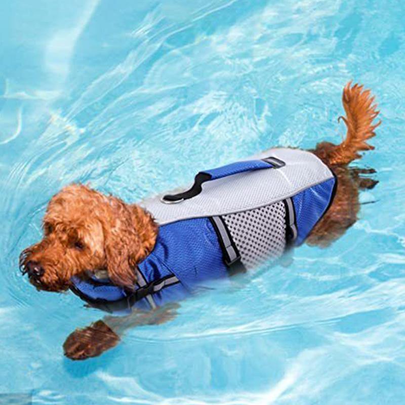 Hundeschwimmweste Hundelebenswesten Zum Bootfahren Reflektierende Streifen Schwimmhilfe Für Outdoor Kajak Pool Reisen See Strand Bootfahren