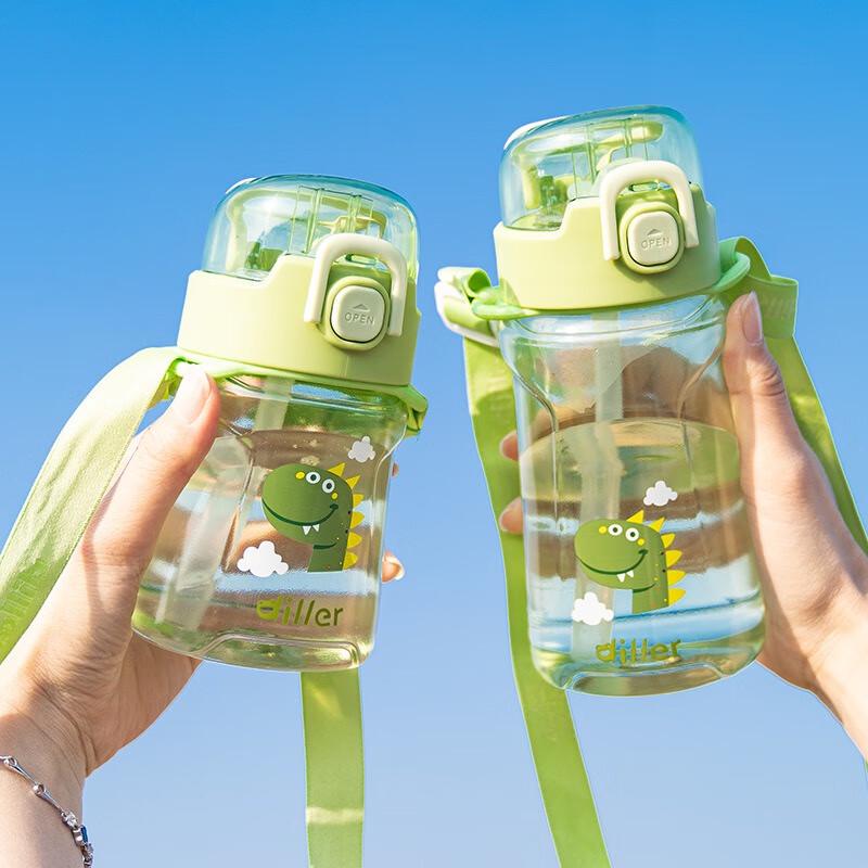 Diller Portable Straw Water Bottle