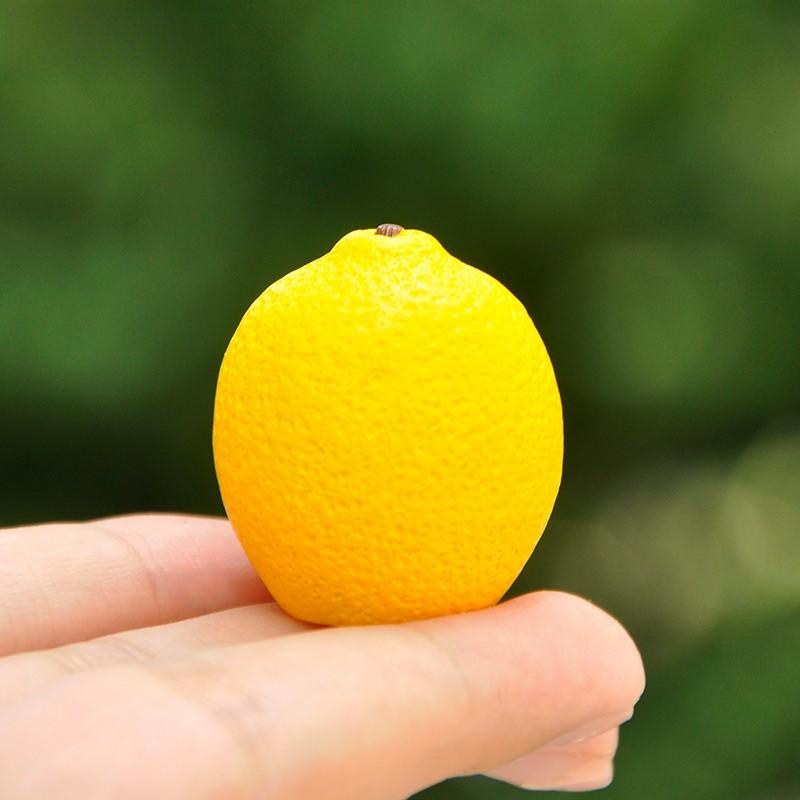 Resin Fruit Miniature Blind Bag Set With Realistic Model For Kids And Collectors