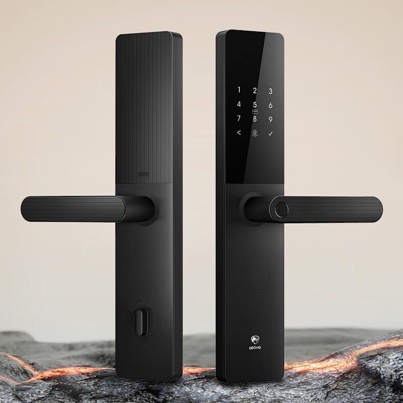 Desmann Longting T5 Smart Fingerprint Door Lock