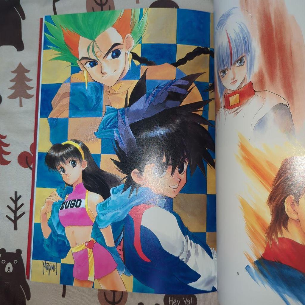 [USED] Mutsumi Inomata ECCELLENTE Art Collection First Edition with Obi