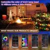 WS2812B Bluetooth LED String Fairy Lights Dreamcolor RGBIC DIY Party Festival Tree Lights Wedding Decoration Garland USB Lamp