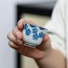 Sushang Hand-painted Ceramic Travel Gongfu Tea Set