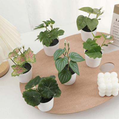 Greenery Green Plant Potted White Flowerpot Simulation Plant Potted Desktop Ornament  Windowsill