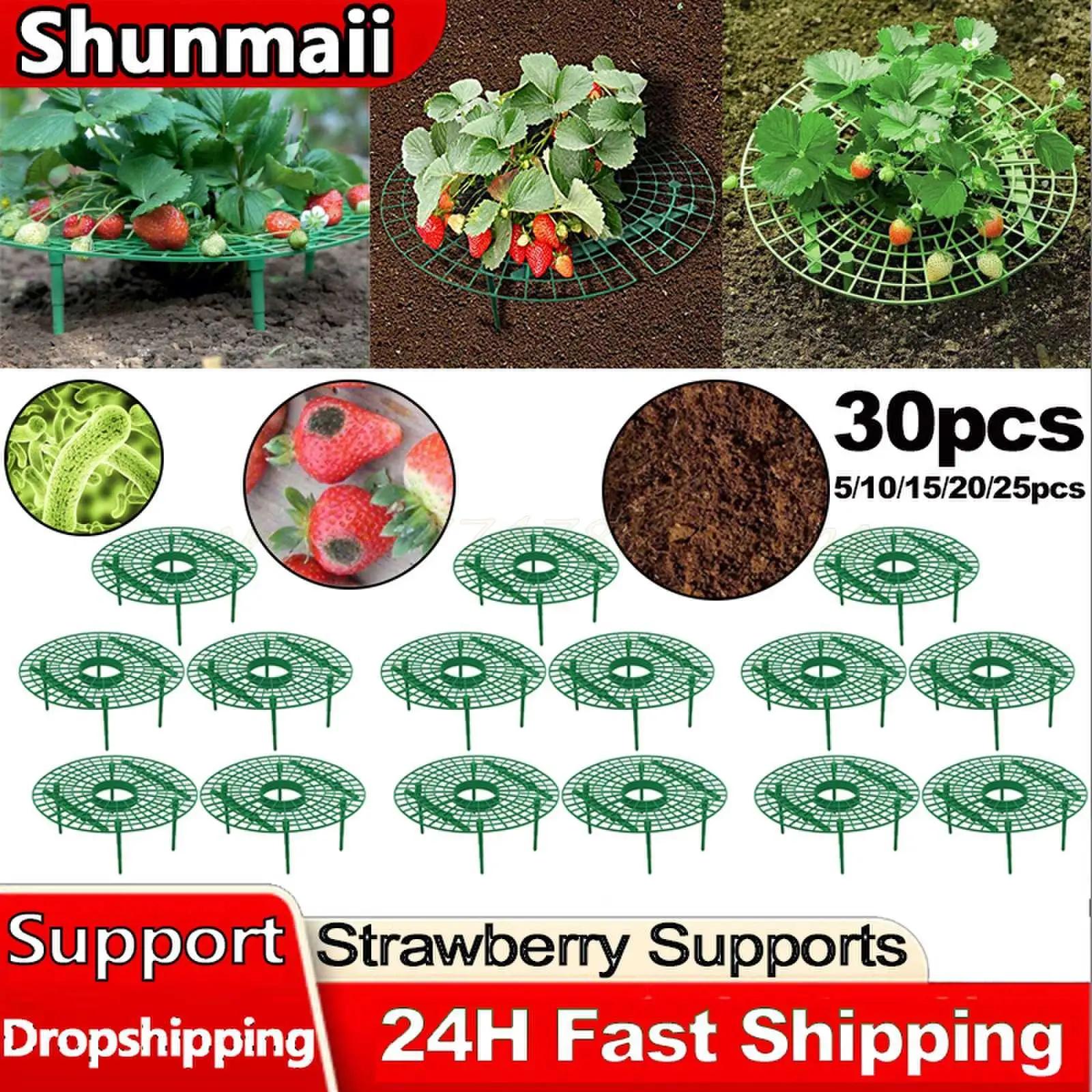 

Strawberry Supports with 4 Sturdy Legs Strawberry Growing Frame Keep Berries Clean Fruit Support for Protecting Strawberries