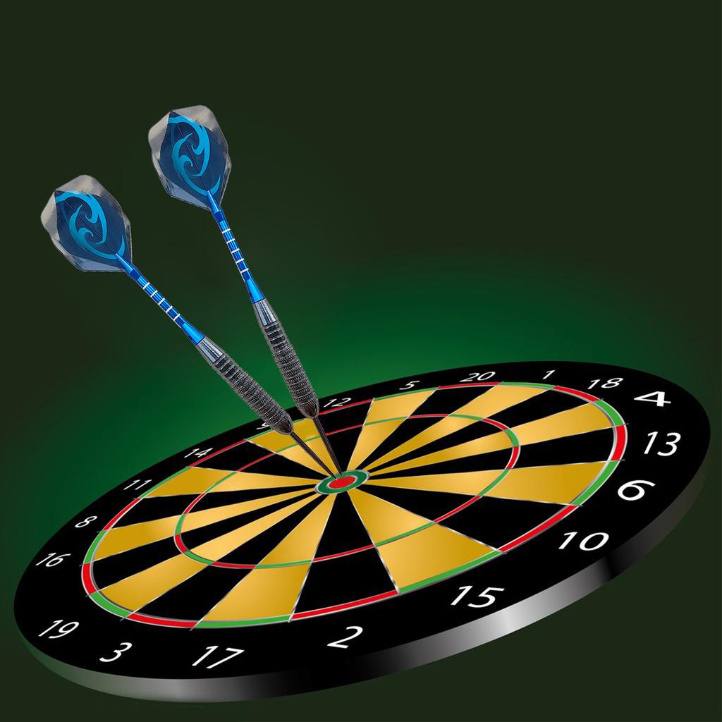 Set of 12Pcs 22g Professional Steel Tip Darts with Aluminum Alloy Shaft Steel Tip Darts Set, Not Easy To Break and Bend