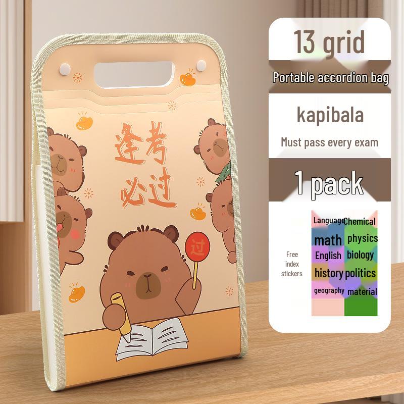 Accordion Bag 5250: Junior High Student Handheld Storage Folder