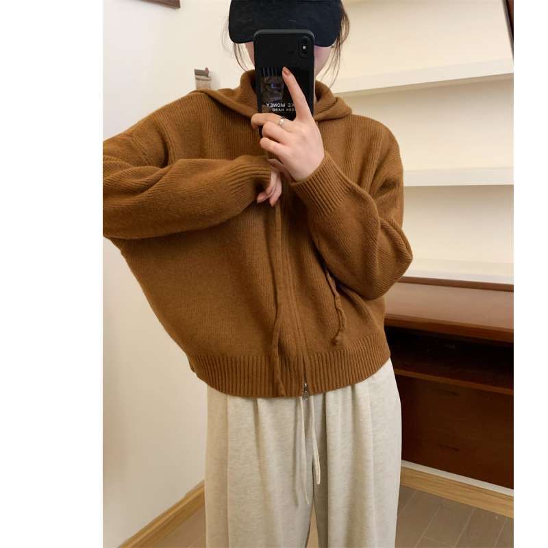 Autumn and Winter Korean Style Zipper Hooded Sweater Cardigan Jacket Women's Loose Fashion Knitted Top