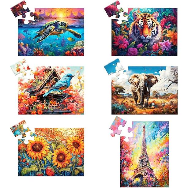 6 Pack 16 Large Piece Puzzles for Seniors Puzzles Dementia Alzheimer s Products and Activities Alzheimer s Puzzle Elderly Adults Cognitive Game Gift 16A Large Pieces
