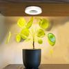Full Spectrum Ceiling Grow Light 4 Dimmable Levels Halo Grow Lamp Height Adjustable Under Cabinet Plant Lamp for Indoor Plants