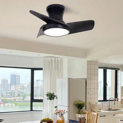 24" 32" DC Motor Small Ceiling Fan Lamp Electric Ceiling Fan With Light Bedroom LED Tricolor Dimming Lighting Fan