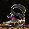 Glass Material Swan Vase Home Decoration Suitable for Valentine's Day Exquisite Appearance Lucky Pure Grace Pastoral Style