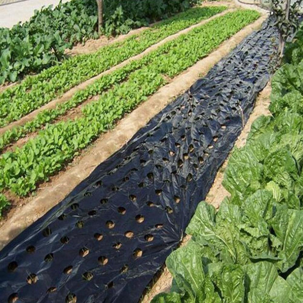 Vegetable Greenhouse Plants Grow Garden Supplies Mulch Film Perforated Film Agriculture Supplies