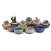 Cute Succulent Flowerpot Thickened Plants Planter Ice-Crack Glaze Ceramic Flowerpots  Office