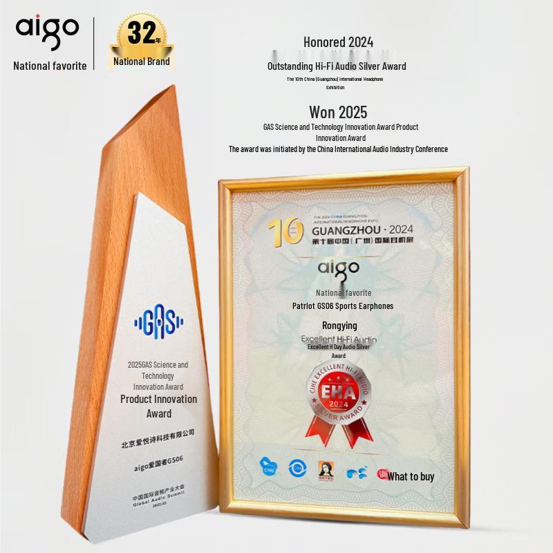 Aigo GS06 Bone Conduction Swimming Headphones