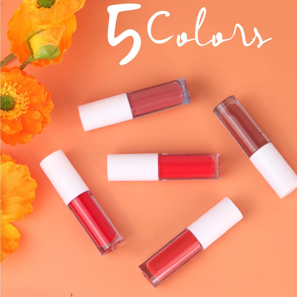 5 Color Liquid Lipstick Waterproof Moisturizing Long Lasting Lip Gloss Tint Matte Lipgloss