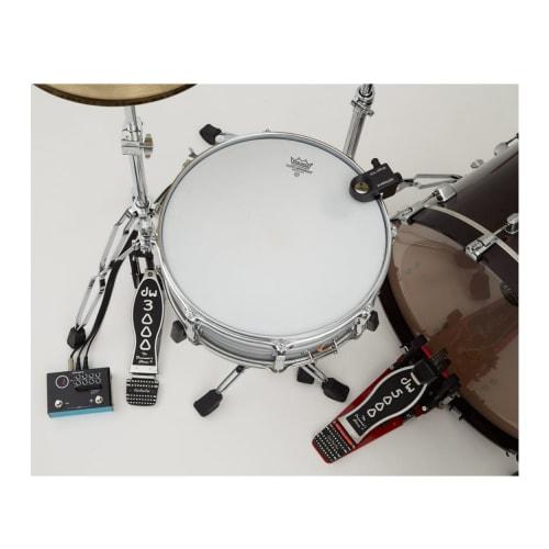 Roland TM-1 Trigger Module, Drum Trigger Sound Source, Hybrid Drum, Simple Operation