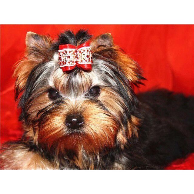 DIY 5D diamantová malba pes Křížkový steh Diamantové vyšívání Prodej Zvířecí mozaika Kamínky Obrázky