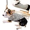 Pet Corgi Dog Clothes Spring and Autumn Clothing Anti-hair Loss Teddy Bichon Shiba Inu Small Dog Two-legged Striped Sweater Winter