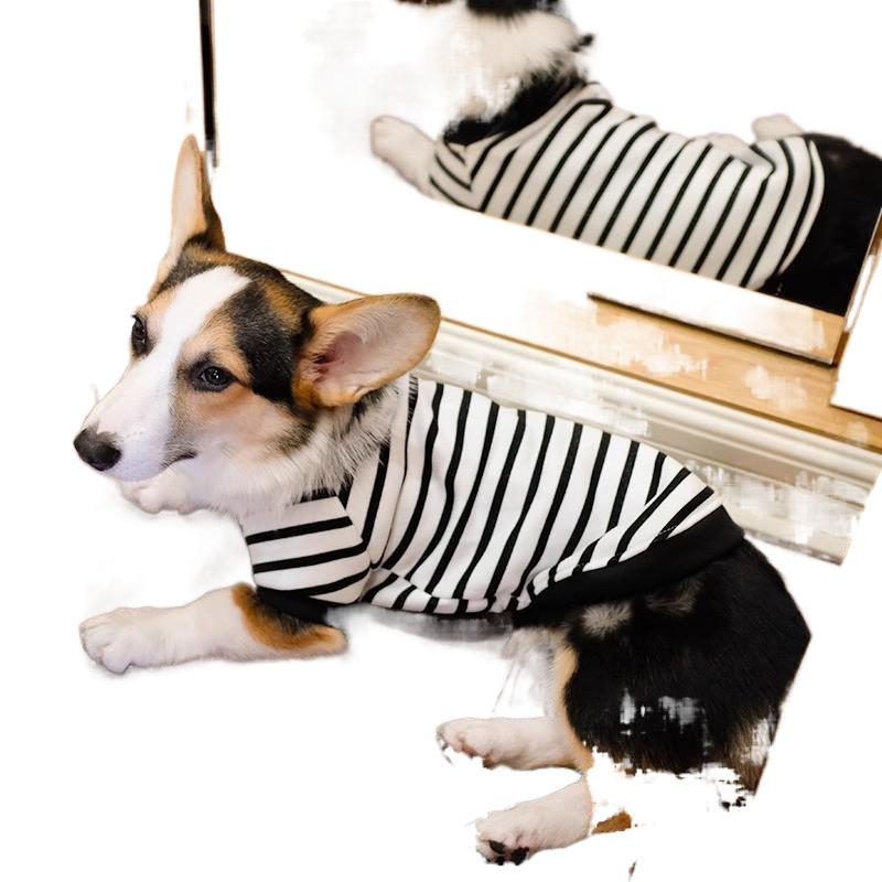 Pet Corgi Dog Clothes Spring and Autumn Clothing Anti-hair Loss Teddy Bichon Shiba Inu Small Dog Two-legged Striped Sweater Winter
