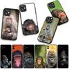 Phone Cover Monkey Gorilla Ape Baby Casing for Samsung Galaxy S25 S24 S22 S23 FE Ultra Plus A56 A05 A06 A15 A16 A55 S7 Edge Case