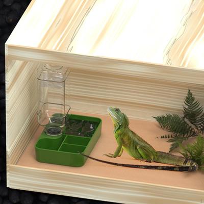 Reptile Feeder Automatic Water Dispenser Food Dish Drinking Bowl for Gecko Chameleon