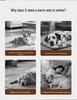 Cross-Border Dog Bed: Cozy Autumn/Winter Nest for Small Dogs & Cats